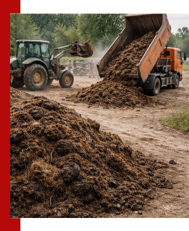 Доставка навоза самосвалами в Туймазах для сельхозпотребностей